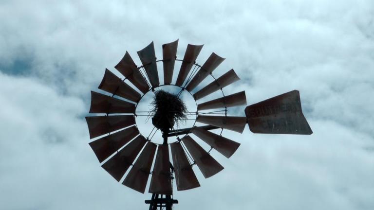 Windrad mit Vogelnest